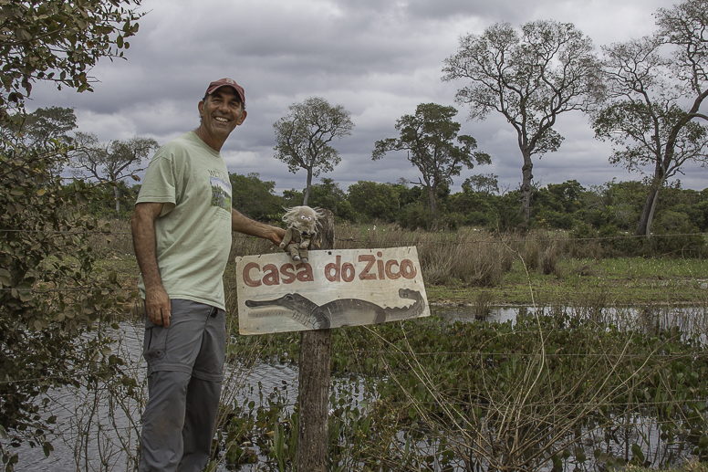 pantanal 2014